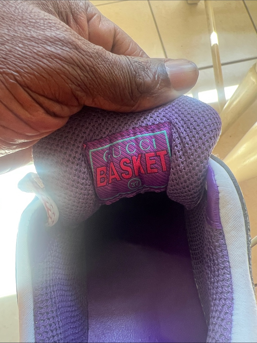 Gucci Purple and Pink Basket Sneaker